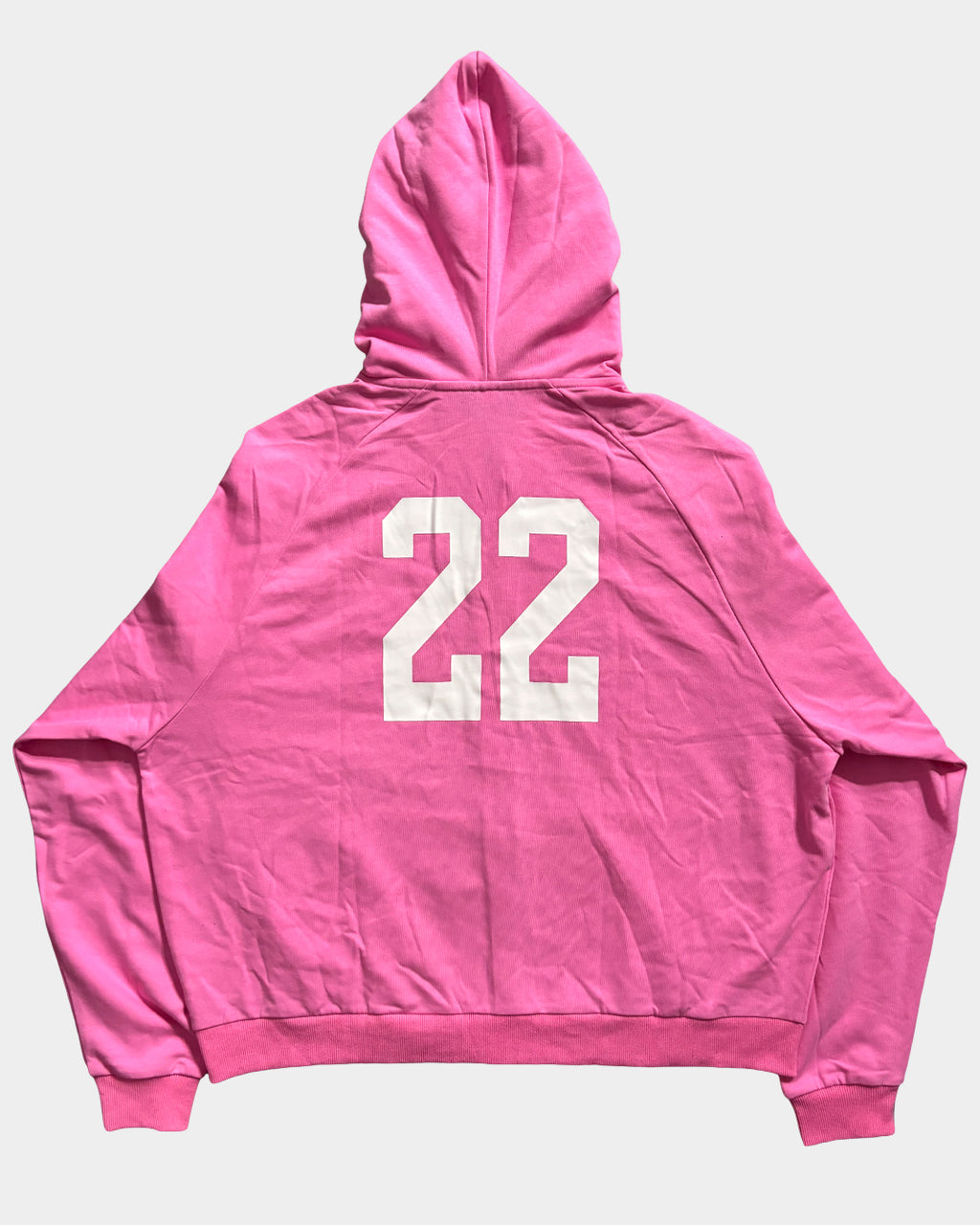 Balenciaga Paris Horse Pink Zip-Up Hoodie