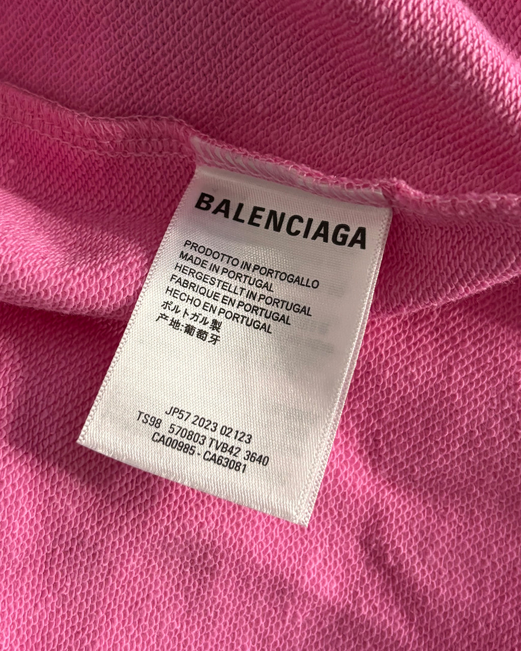Balenciaga Paris Horse Pink Zip-Up Hoodie